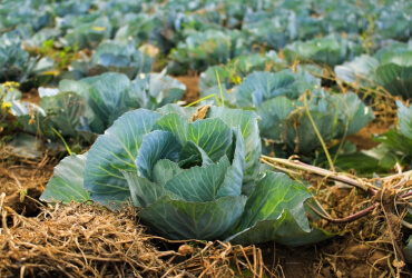 unsplash hfh5yd70ox8