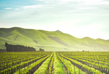 unsplash 2oymwufgntg